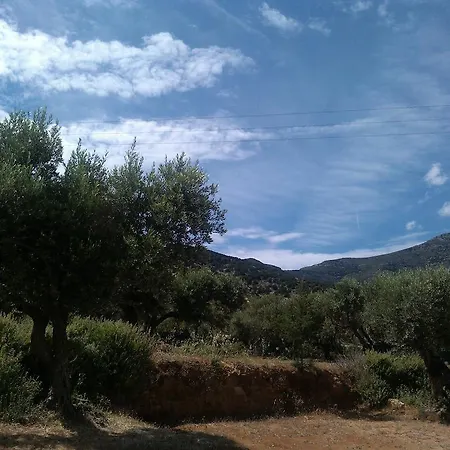 伊维多科亚公寓 Platis Gialos (Sifnos)
