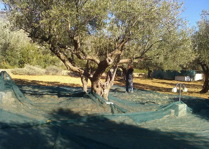 Evdokia * Platis Gialos (Sifnos)