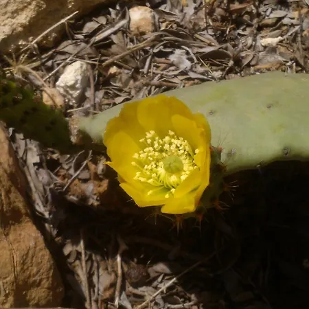 Apartamento Evdokia *