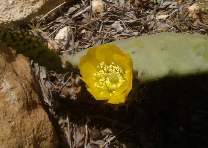 Appartement Evdokia *